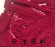 ���������19���D��