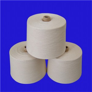 ��ճ��21s�h(hu��n)�V�� 21֧T65/R35�h(hu��n)�V��