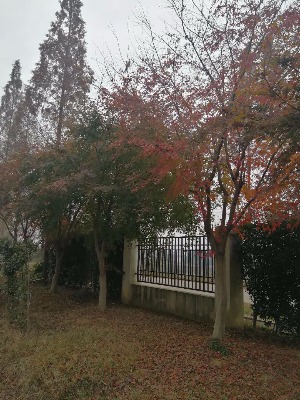 2�����uצ�ʣ�3�����uצ�ʣ�4�����uצ��