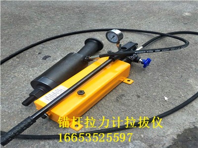 ldz200�^�U����Ӌ���� �V�Ô��@ʽָ�ʽ�^�U���΃x�S��